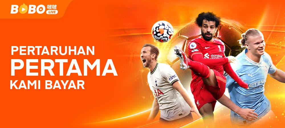 BM promotion banner 3